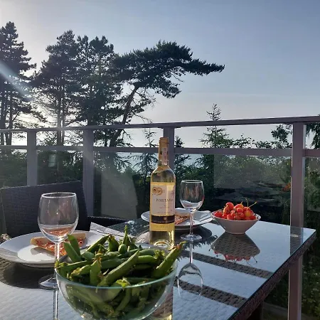 Baltichoff Premium With Sea View, Basen, Spa, Gym, Sauna, Hala Sportowa Z Kortem Tenisowym * Gąski